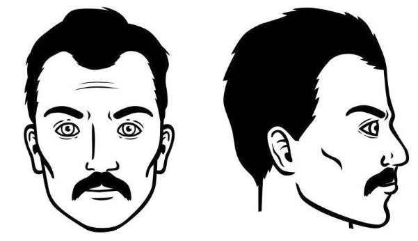 bigote-de-dallas