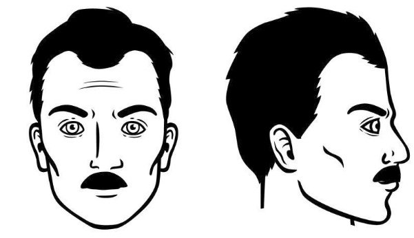 bigote-de-lamara