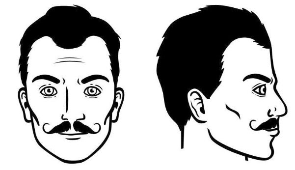bigote-de-manubrio