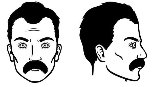 bigote-de-morsa