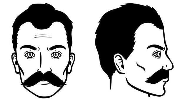 bigote del viejo oeste