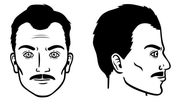 bigote-normal
