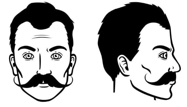 bigote-hungaro
