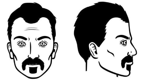 bigote-zappa